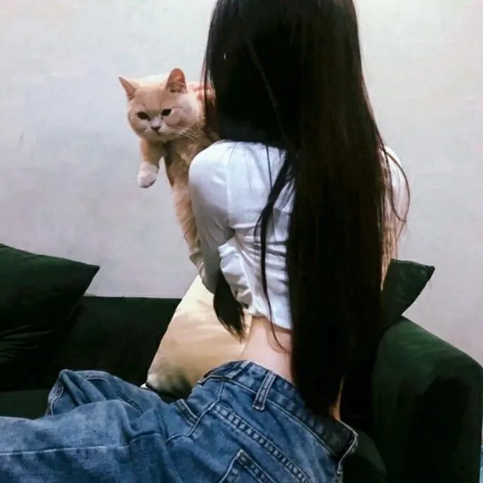 独奏者